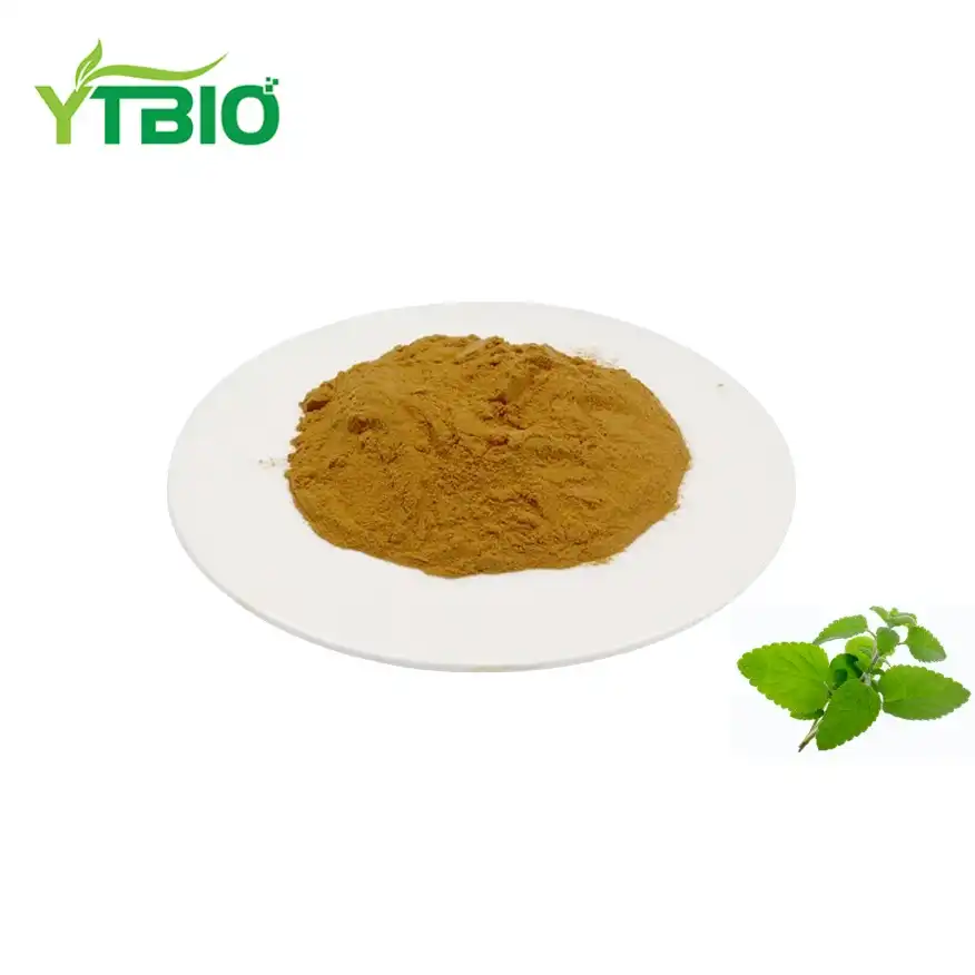 Melissa Officinalis Extract Powder